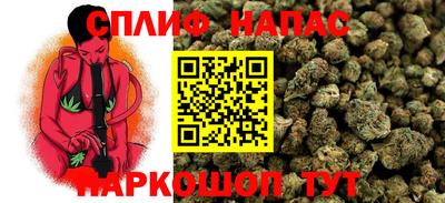 мдпв Краснознаменск