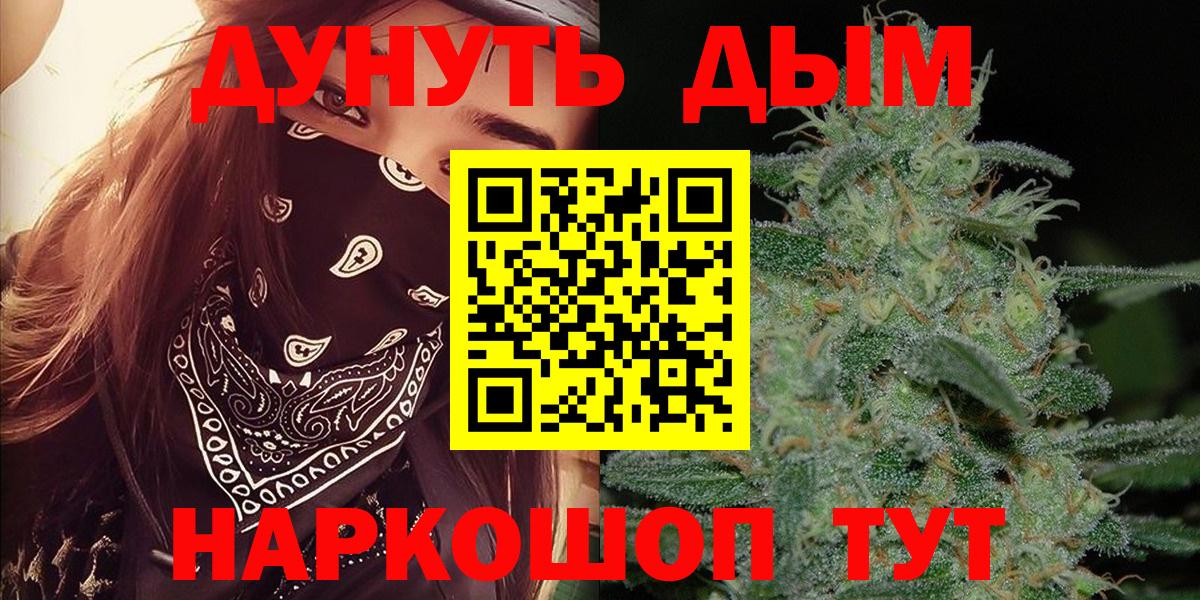 Каннабис OG Kush Камышин